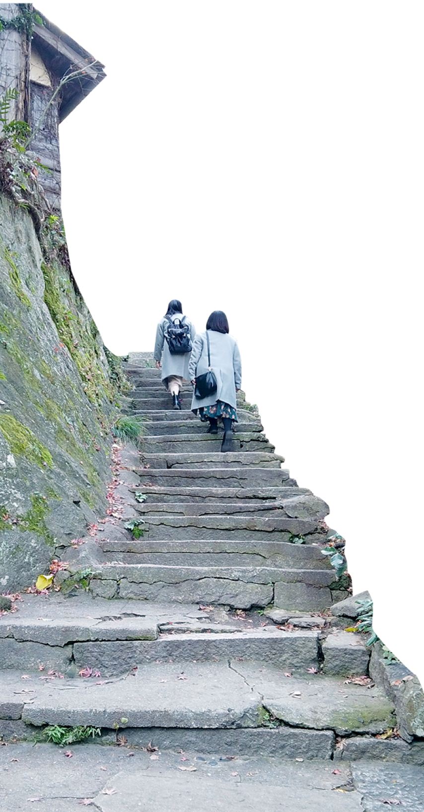 写真：階段を上がる学生